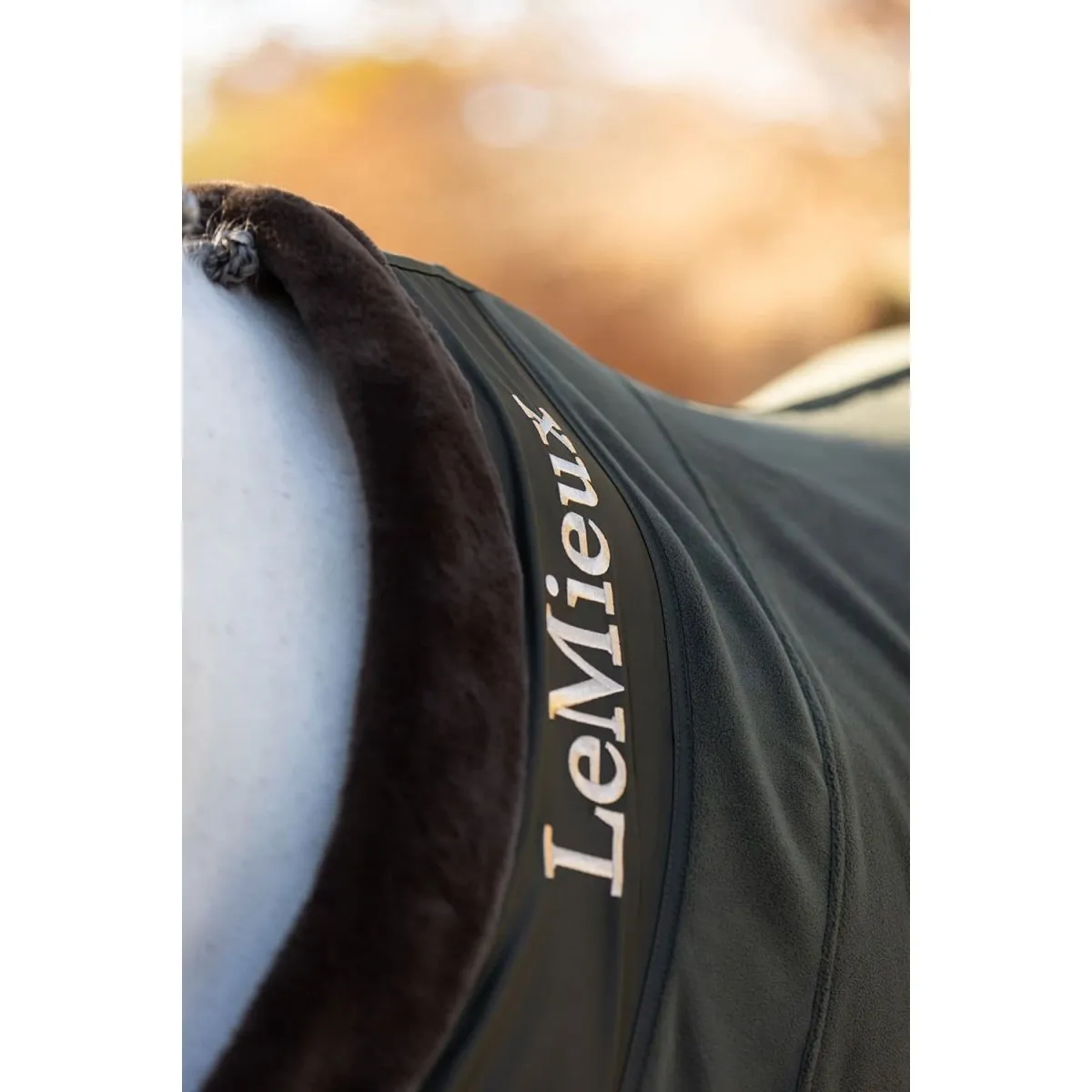 LeMieux Fleece Rug 