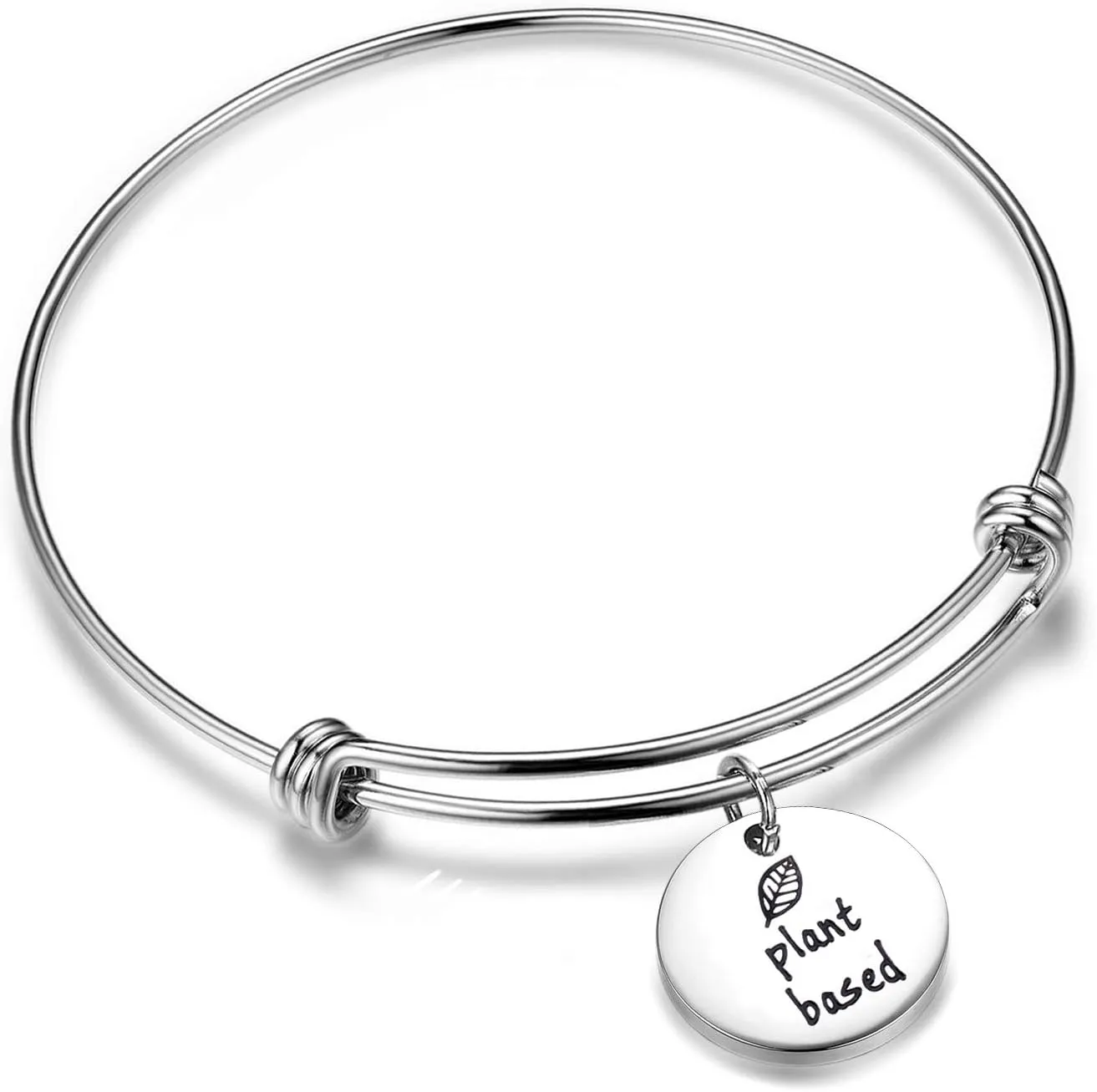Plant Based Vegan Charm Bracelet Vegetarian Jewelry Vegan Gift (charm bracelet)